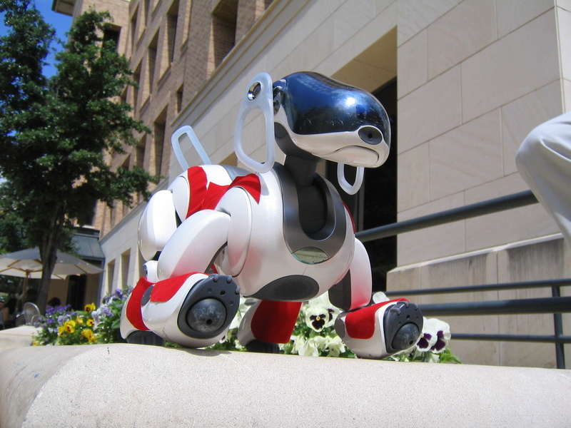 no people, day, built structure, helmet, animal representation, aibo, transportation, chrome, sunlight, technology, creativity, representation, plant, building exterior