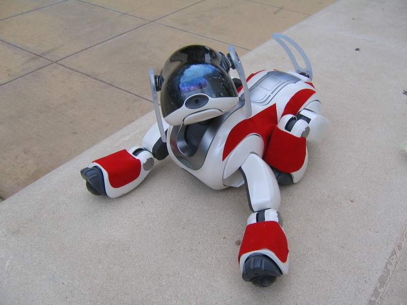 full length, security, sports equipment, competition, outdoors, aibo, robot, racecar, crash helmet, sports race, flooring, headwear, sport, helmet, red