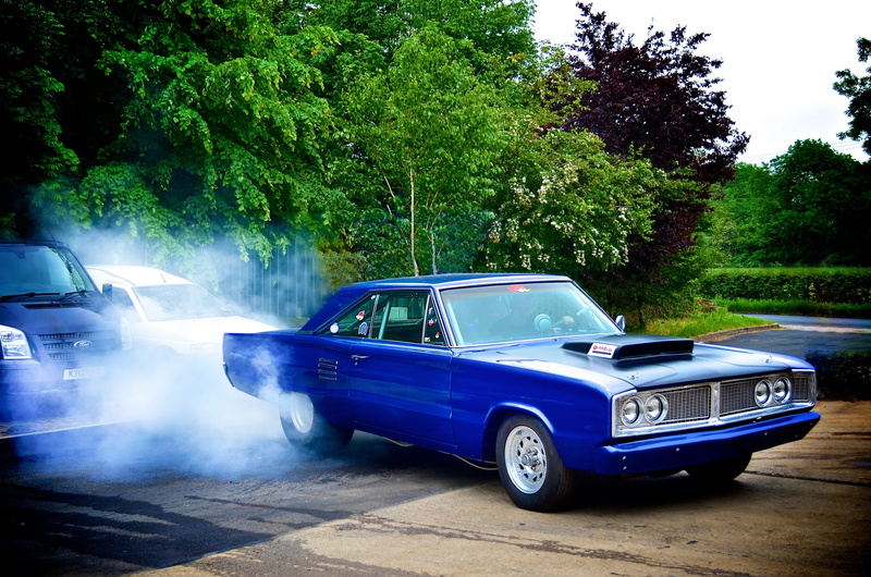 transportation, green color, growth, city, sunlight, plant, american muscle car, mode of transportation, day, motor vehicle, blue, nature, outdoors, road