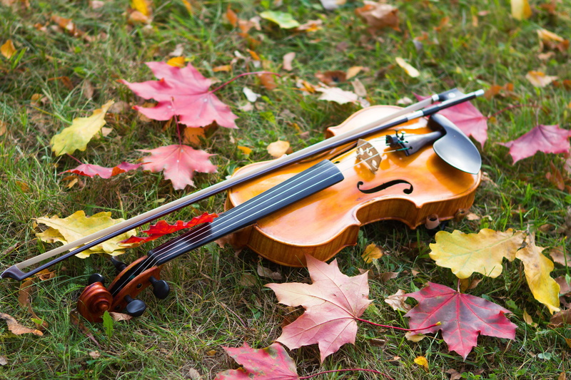 close-up, grass, autumn leaves, bow - musical equipment, 5K, mood, violin, flower, plant, pink color, top, musical equipment, classical music, nature