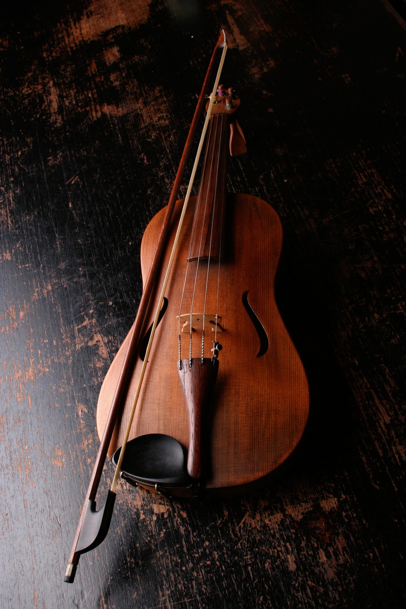 no people, musical instrument, stringed instrument, sound, classic, string instrument, bow, classical style, instrument, musical equipment, classical music