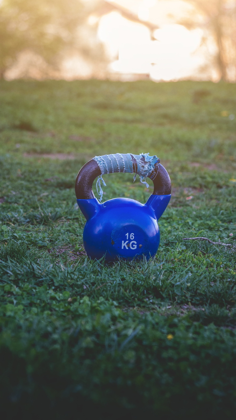 blue, field, sky, toy, outdoors, day, sunlight, selective focus, nature, sunset, growth, no people, focus on foreground, kg, kettlebell, grass, purple