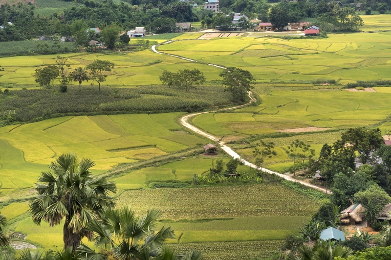 tropical, green color, beauty in nature, the beauty, spring, growth, scenic, no people, tuyen quang, wild, autumn, 5K, summer, nice, peace, landscape