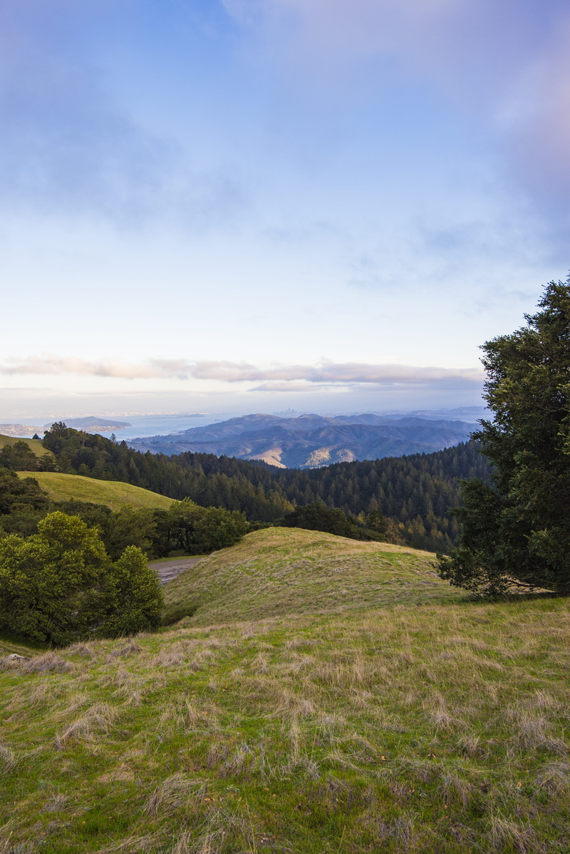 day, 5K, cloud - sky, nature, outdoors, grass, land, united states, san francisco, idyllic, growth, trees, non-urban scene, clouds, landscape, sunset