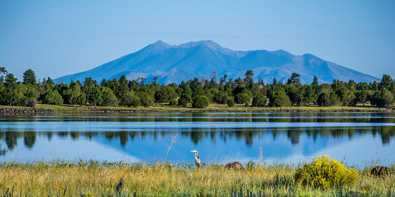 mountain, pine woodland, no people, tree, coniferous tree, coconino national forest, calm, scenic, sky, scenics - nature, lake, recreation, mountain range