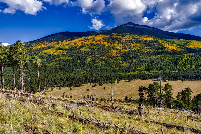no People, mountain, beauty In Nature, outdoors, scenics - nature, fall, grass, growth, country, Coconino National Forest, cloud - Sky, woods, nature, mountain range