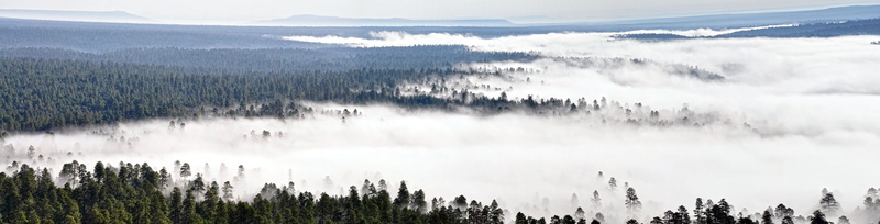 landscape, creek, Mogollon  Rim, aerial, Coconino National Forest, aerial photography, snow, scenics, fogged, outdoors, photography, East, mountain, winter