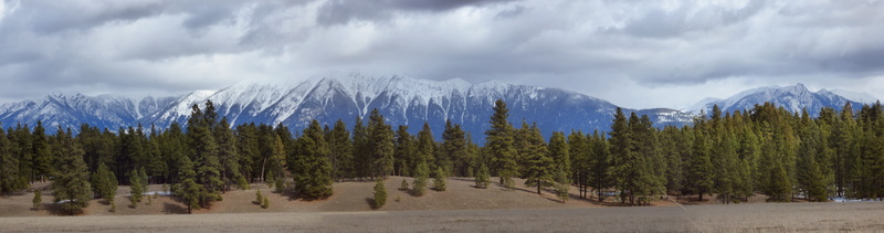 panorama, environment, tree, forest, rocky, cloud - sky, coniferous tree, nature, beauty in nature, ponderosa, pine woodland, sky, outdoors, tranquility