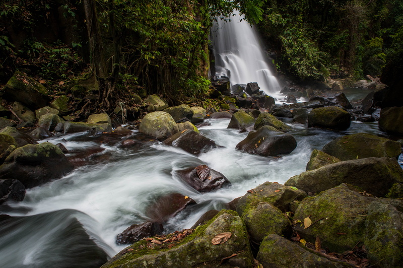 forest, bukidnon, freshness, tree, river, rock - Object, beauty In Nature, waterfall, outdoors, nature, Landscape, philippines, mountain, scenics, Waterfalls