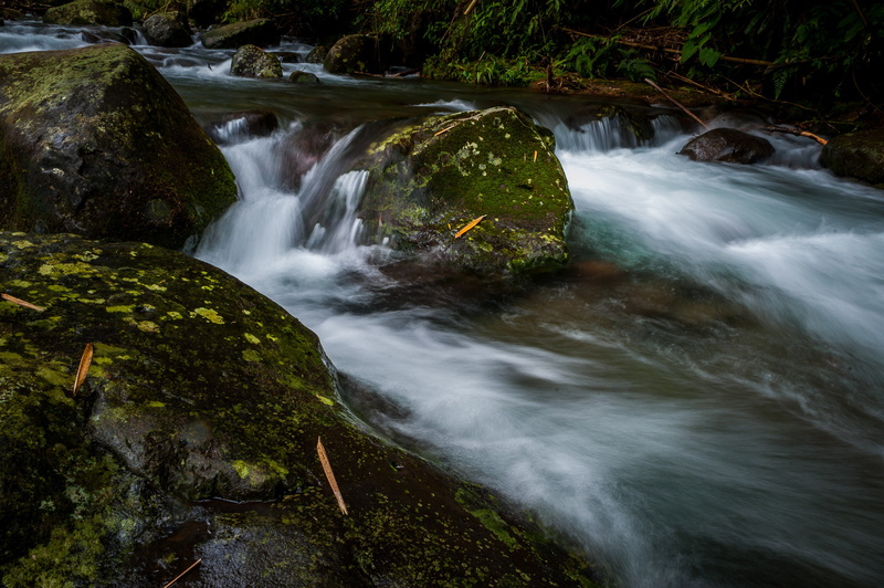 jpg, forest, stream, 1080P, flowing Water, waterfall, stones, outdoors, beauty In Nature, green Color, part, landscape, philippines, river, rock - Object