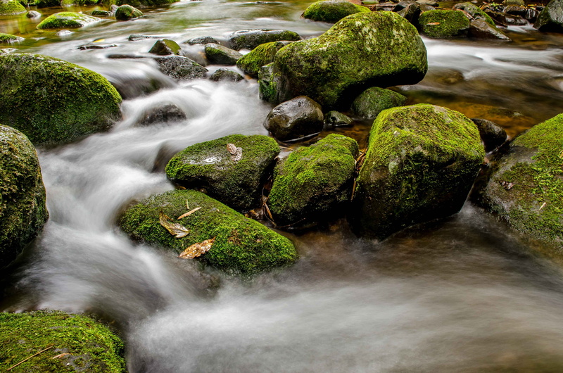 moss, time, stream, freshness, rock - Object, photo, 4K, green Color, river, flowing, landscape, outdoors, waterfall, forest, lapse, philippines, nature