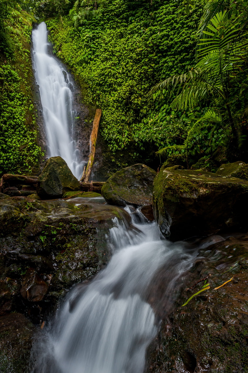 stream, river, waterfalls, bukidnon, flowing Water, outdoors, waterfall, moss, 1080P, forest, rock - Object, DSC, flowing, nature, freshness, landscape