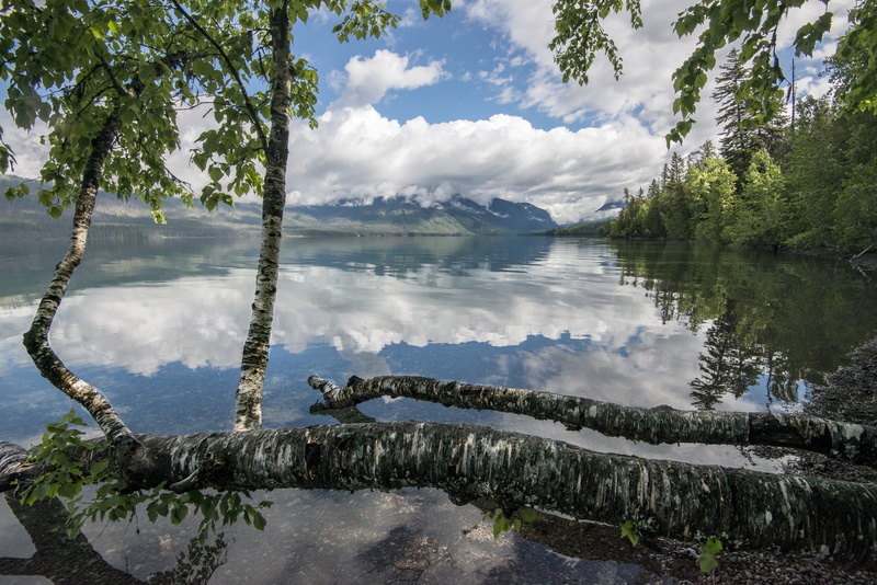 water, reflection, plant, glacier, landscape, beauty in nature, idyllic, leaves, montana, calm, sky, cloud - sky, scenics - nature, usa, panorama, national park