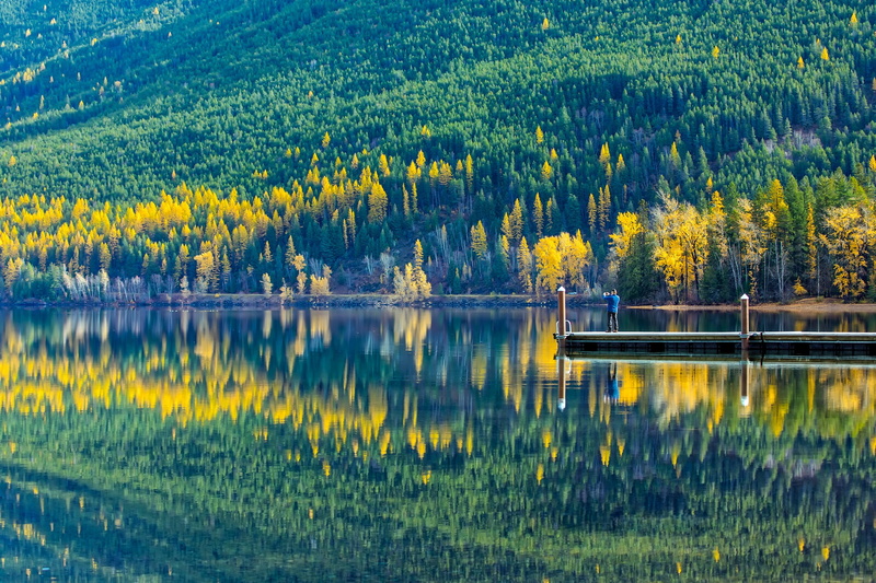 scenics, forest, non-urban scene, growth, outdoors, mountains, green color, beauty in nature, lake mcdonald, outside, photo, woods, countryside, full frame