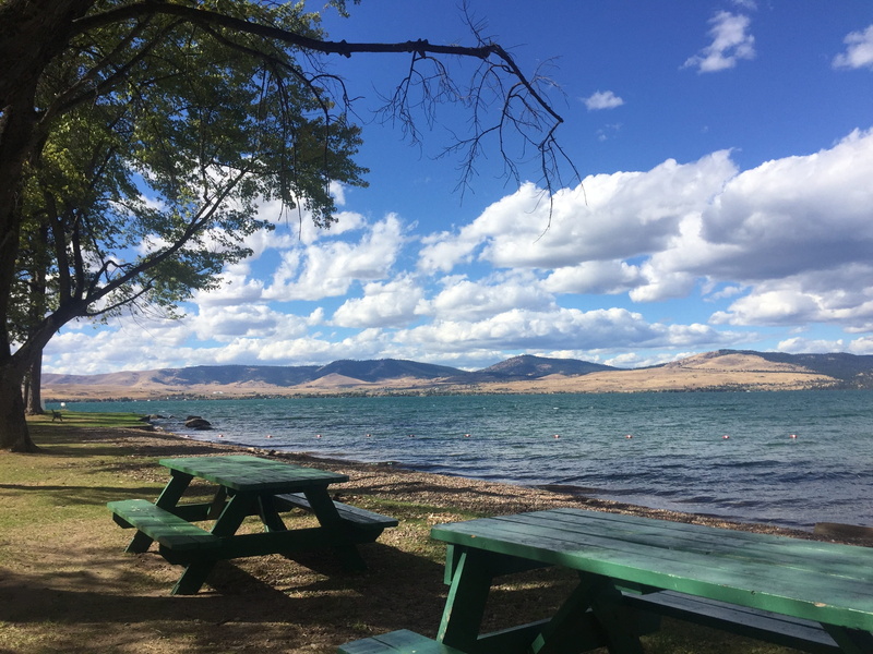 montana, outdoors, seat, tree, nature, no people, tranquil scene, mountain, clouds, lake, relaxation, day, flathead lake, water, sky, bench, cloud - sky