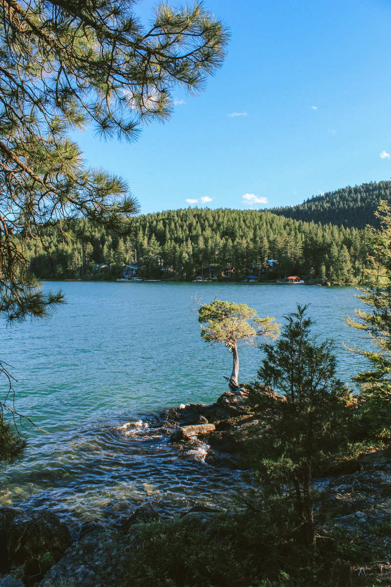 plant, united states, pine trees, beauty in nature, tranquil scene, swamp, scenics - nature, blue, tree, montana, nature, 5K, day, hike, hills, cloud
