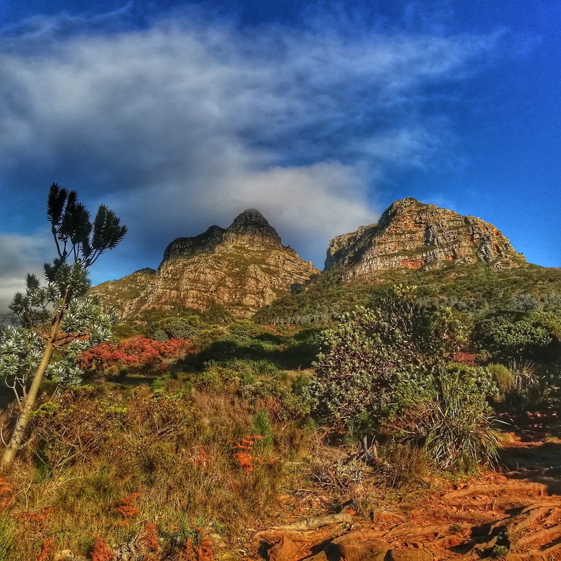 sky, 2K, no people, tranquil scene, mountain, cloud - sky, scenics - nature, non-urban scene, town, tranquility, mowbray, peak, tree, outdoors, rock, cape