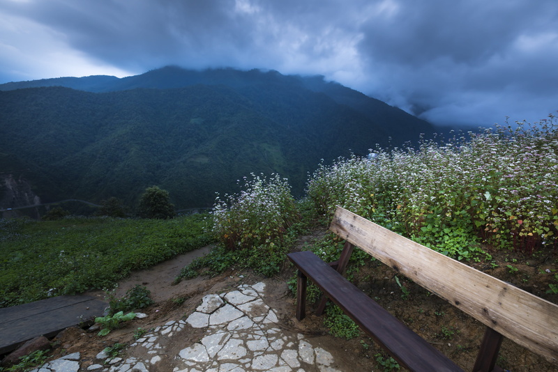 idyllic, minority, tranquility, wood - material, nature, nobody, non-urban scene, the sun, beauty, scenics - nature, plant, color images, 5K, tranquil scene