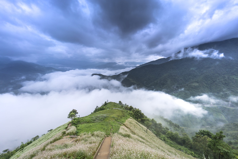 green, sky, non-urban scene, dawn, clouds, cloudscape, sunlight, gold, beauty, sunset, red, mountain peak, tranquil scene, natural, agriculture, land, green color