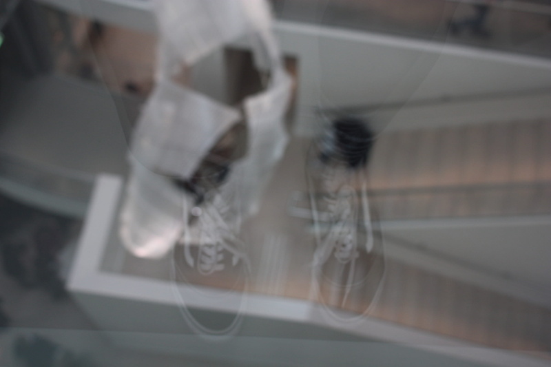 louis vuitton foundation, science, vuitton, healthcare and medicine, close-up, skill, france, human body part, adult, vans, focus on foreground, hanging