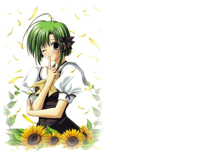 Shuffle!, Anime, 1080P, Asa Shigure