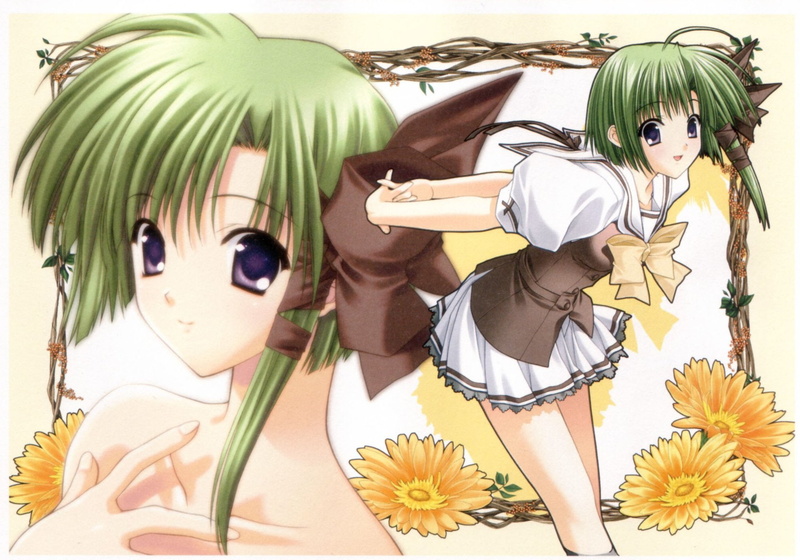 Asa Shigure, 1080P, Shuffle!, Anime
