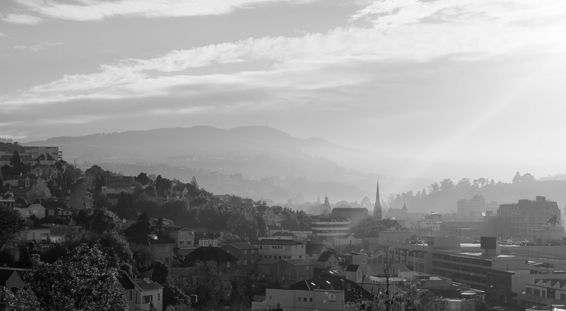 city, architecture, morning, fog, building, residential district, new zealand, high angle view, plant, cityscape, nature, building exterior, church, outdoors