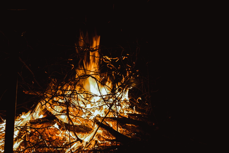 light, burning, dark, land, heat - temperature, twigs, bonfire, night, fire - natural phenomenon, tree, burn, branch, illuminated, twig, campfire, night photography