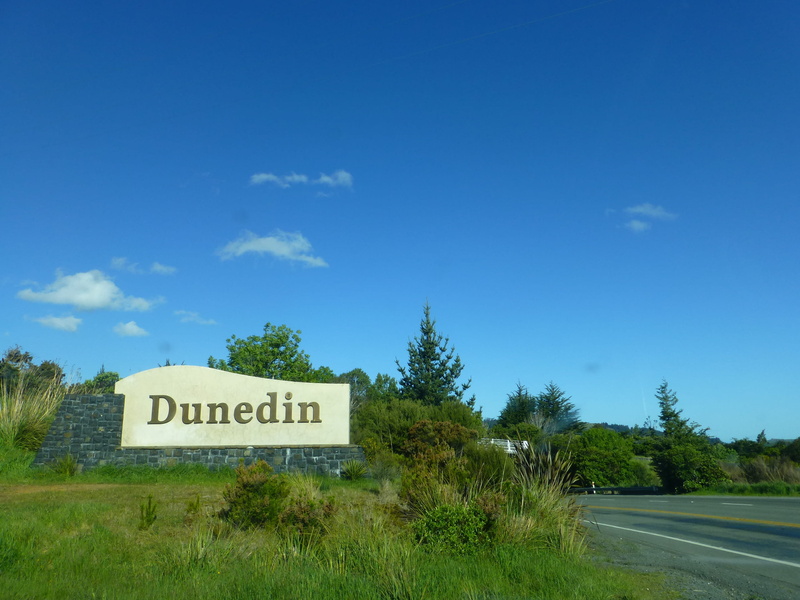 transportation, day, new zealand, communication, tranquility, information, blue, sky, 2K, western script, tree, text, road, cloud - sky, outdoors, südinsel