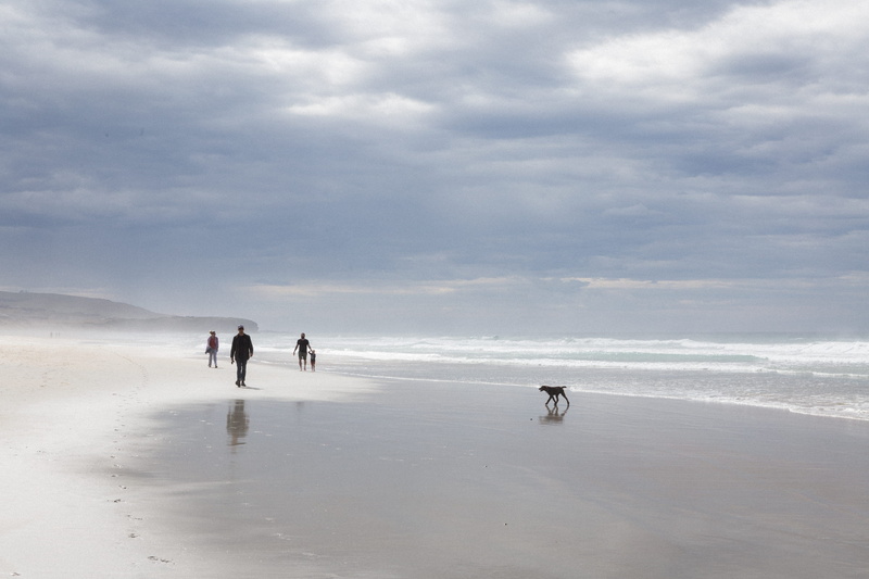 leisure activity, nature, people on the beach, holiday, reflection, sea, land, sky, trip, sport, cloudy, group of people, people, outdoors, dog, fog, beach