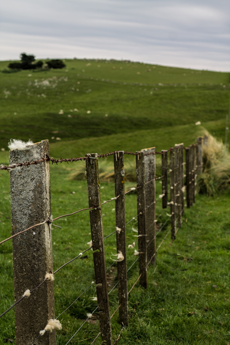 security, no people, day, barrier, outdoors, landscape, fence, land, environment, grey, new zealand, post, green color, countryside, grass, alone, tranquility