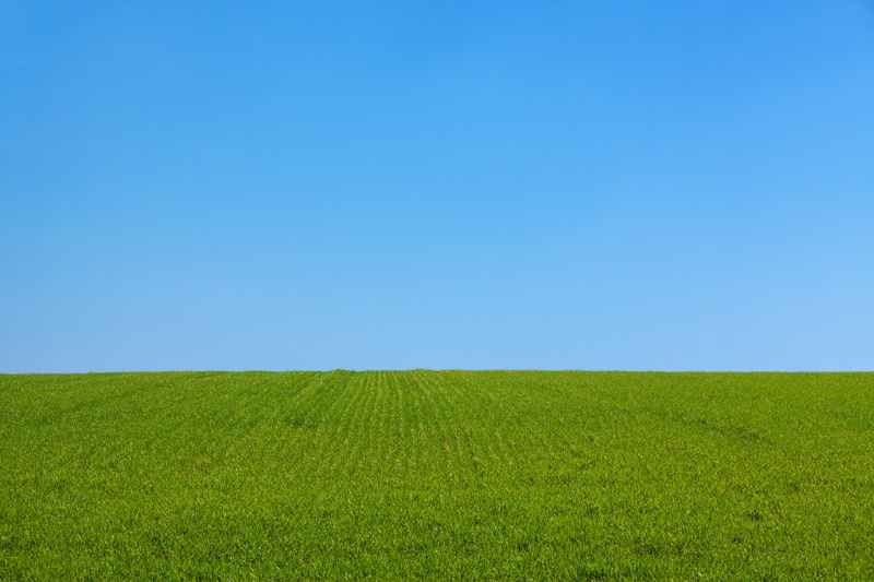 horizon over land, outdoors, park, horizon, backgrounds, agriculture, landscape, growth, urban skyline, outdoor, rural Scene, tranquility, no people, lawn