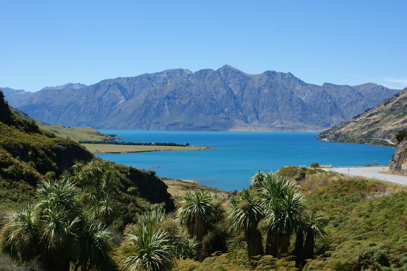 outdoors, plant, lake hawea, mountain, otago, 4K, tropical climate, blue, tranquility, turquoise colored, mountain range, tree, bay, land, sky, no people