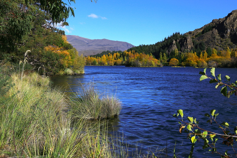 grasses, remote, sky, mountain, river, tree, hills, 5K, autumn, golden, mountain range, poplars, tranquility, non-urban scene, otago, recreation, water