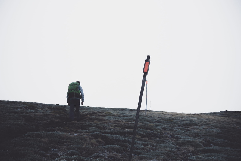 green, snow, adventure, beauty in nature, rock and pillar, copy space, land, stone, mountain, leisure activity, grass, new zealand, tramper, real people