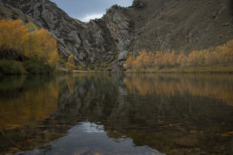 day, plant, tranquility, 5K, tree, nature, symmetry, lake, water, outdoors, mountain range, otago, waterfront, beauty in nature, newzealand, no people