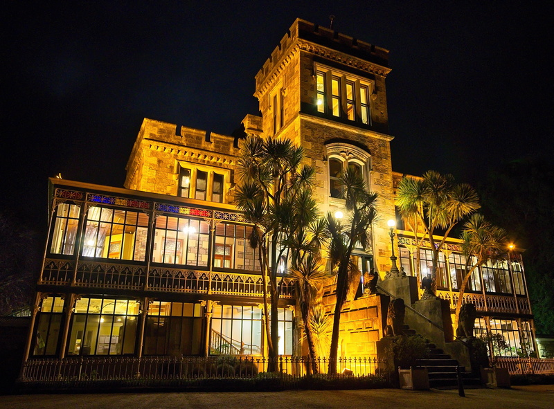 city, building, castle, nature, historical, no people, night, plant, building exterior, nightlife, tree, history, attraction, travel, larnach, larnach castle