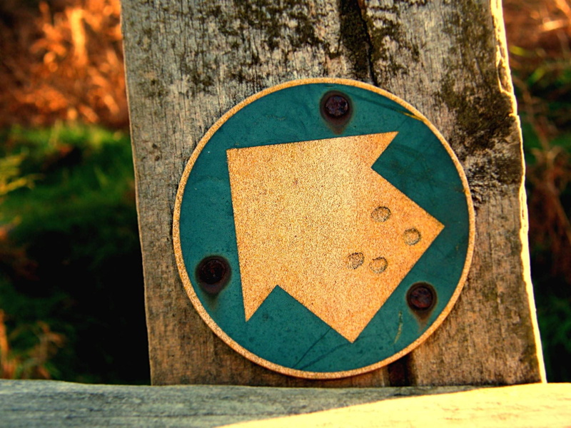 signs, geometric shape, sign, no people, trunk, circle, shape, arrows, communication, brown, yellow, tree, tree trunk, close-up, board, blue, metal, plant