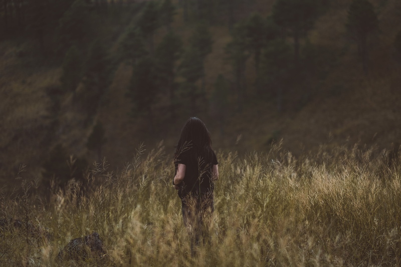4K, walking, plant, bushes, hair, full length, top, leisure activity, men, grass, field, ahead, Wilderness, obscured face, person, people, hairstyle, nature