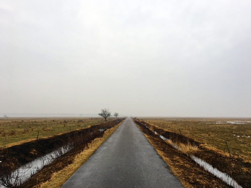 transportation, tranquil scene, vanishing point, sky, nature, landscape, journey, outdoors, lled, no people, field, country, environment, path, diminishing perspective