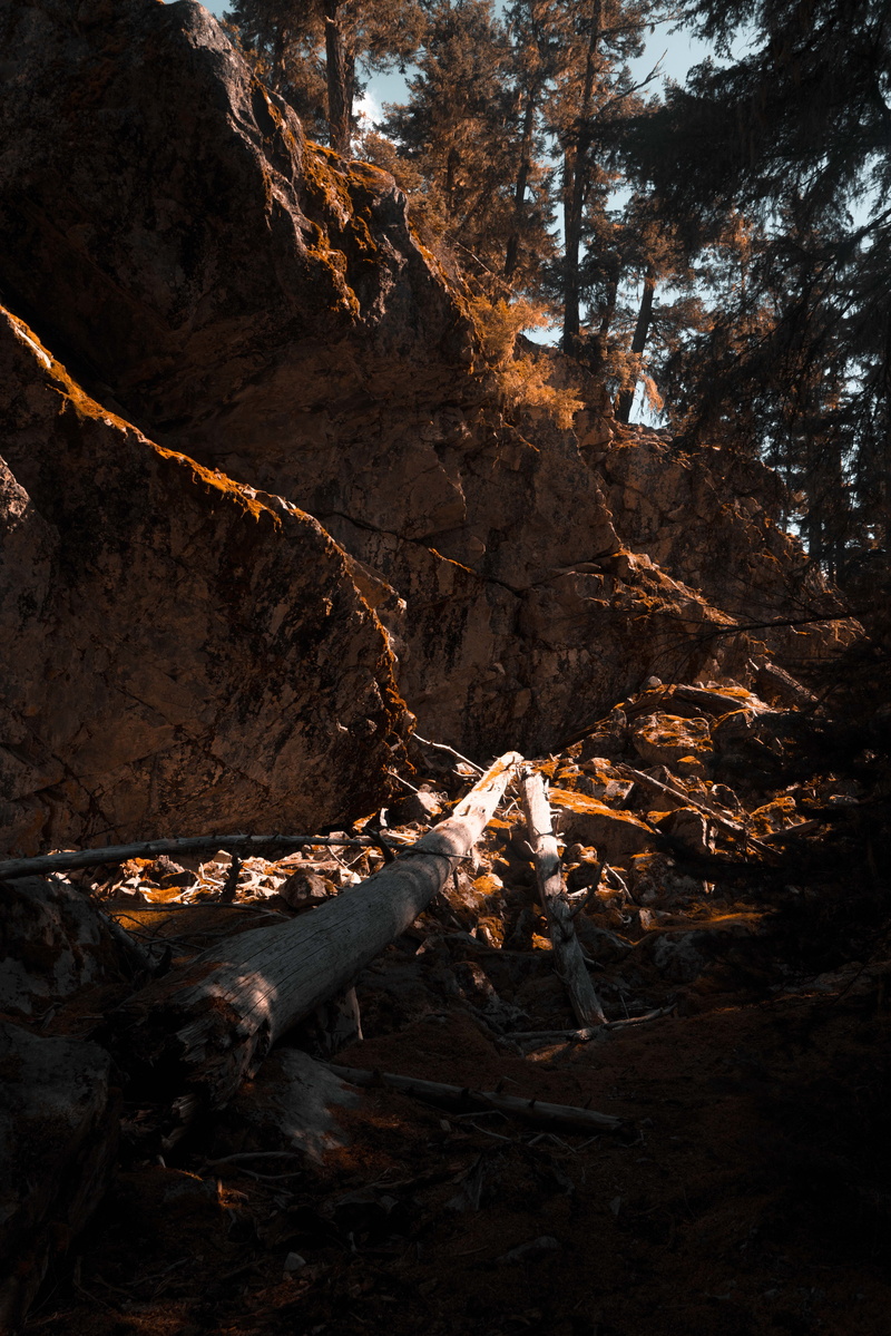 hike, land, bonfire, no people, fire, heat - temperature, burning, cliff, foliage, outdoors, plant, trees, wood, wood - material, climbing, sound, log