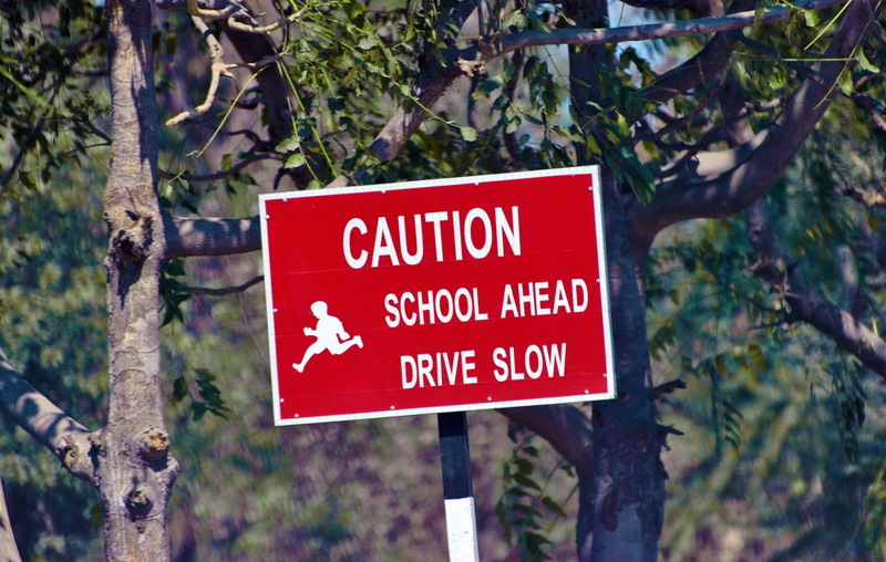 road, school ahead, focus on foreground, guidance, warning sign, tree, ahead, 2K, sign, warning, symbol, information sign, traffic, no people, traffic sign