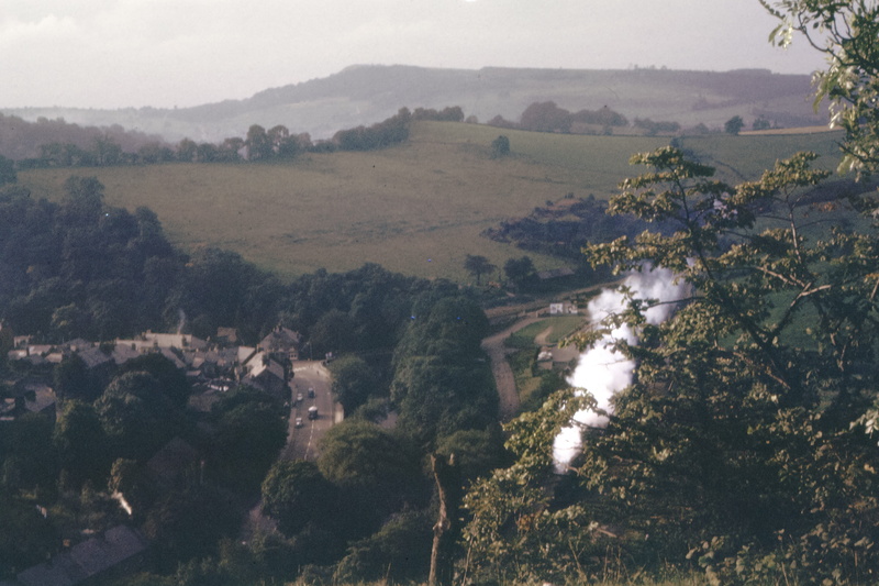 rolling landscape, countryside, scenery, 4K, plant, high angle view, animal, tree, vegetation, no people, rural scene, architecture, scenics - nature