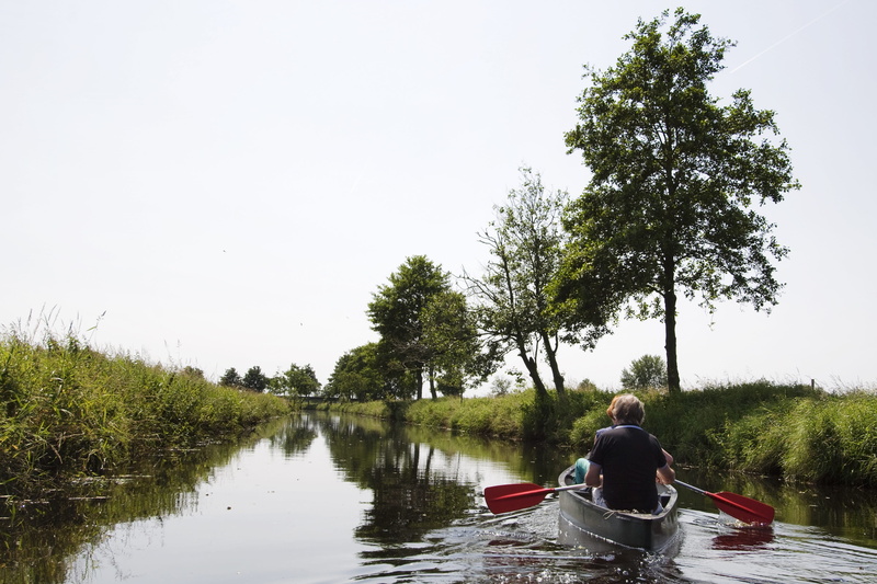rear view, outdoors, men, lifestyles, water sports, tree, canoeing, 2K, plant, boot, lake, channel, mode of transportation, canoeist, one person, paddler