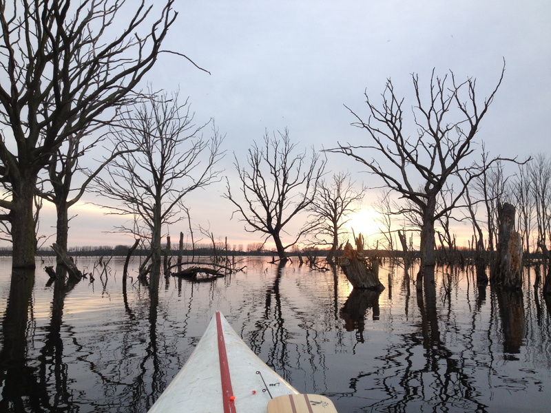 transportation, tranquil scene, landscape, sky, canoeing, reflection, bare tree, lake, water, no people, day, tree, mode of transportation, beauty in nature