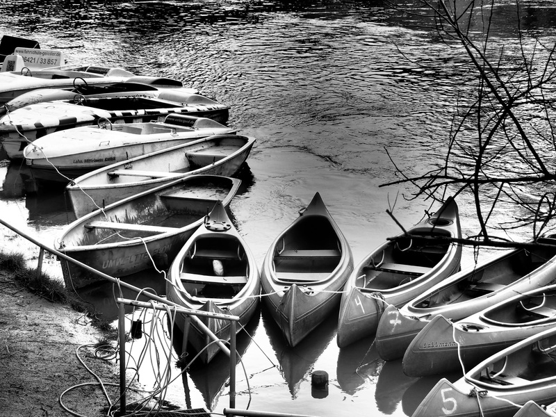 paddler, nautical vessel, reflection, day, 4K, no people, moored, canoeing, nature, paddle tour, trend sports, plant, fun, lake, outdoors, built structure