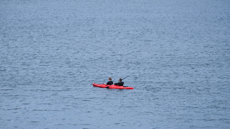transportation, lifestyles, sea, outdoor, outdoors, wannsee, paddle, nature, people, waterfront, scenics - nature, water, men, real people, canoeing, water sports