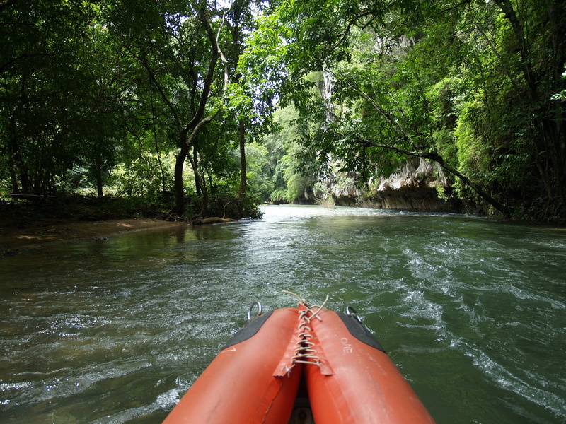 growth, relax, 2K, Boot, canoeist, forest, personal perspective, beauty in nature, human body part, outdoor, plant, Paddle, Water, nautical vessel, Canoeing
