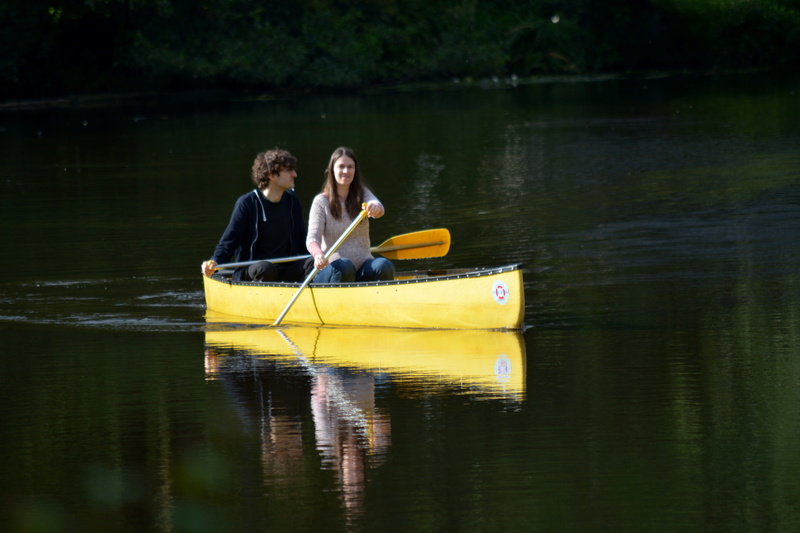 locomotion, woman, day, paddler, water, nature, males, outdoors, togetherness, canoeist, rowboat, life jacket, three quarter length, paddle, two people