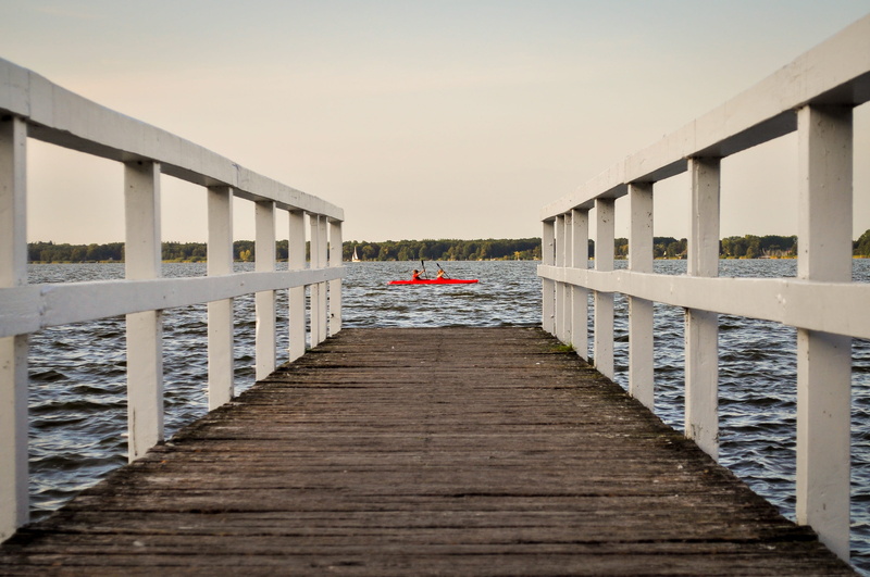 nature, diminishing perspective, footpath, autumn, water, deposited, paddle, 2K, idyllic, rest, background, still, wood, wood - material, investors, panorama